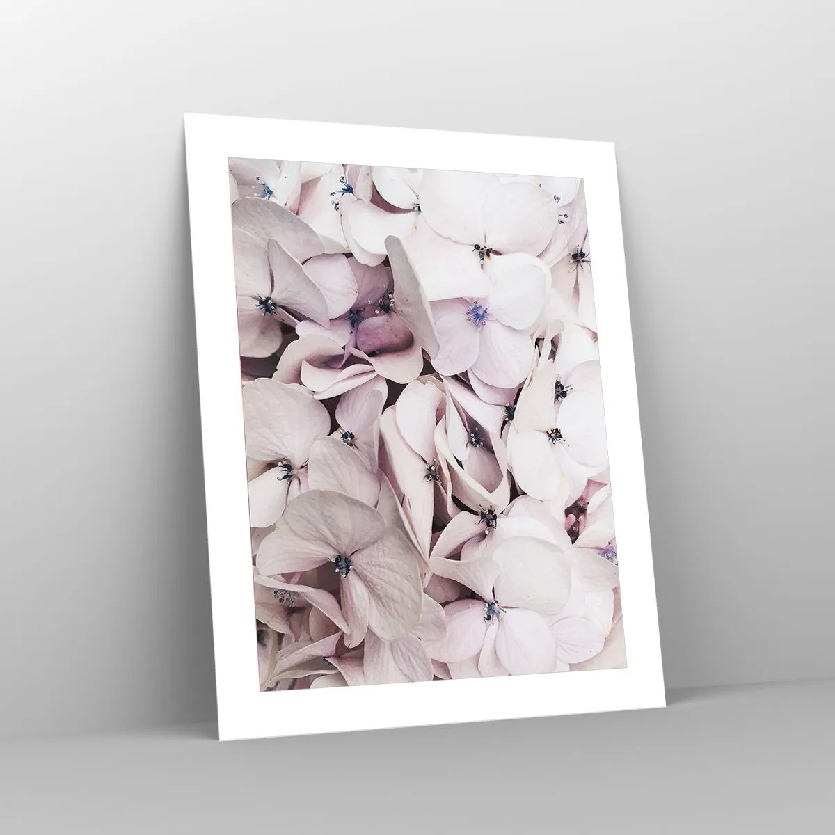 Poster - In einer Blumenflut - 40x50 cm