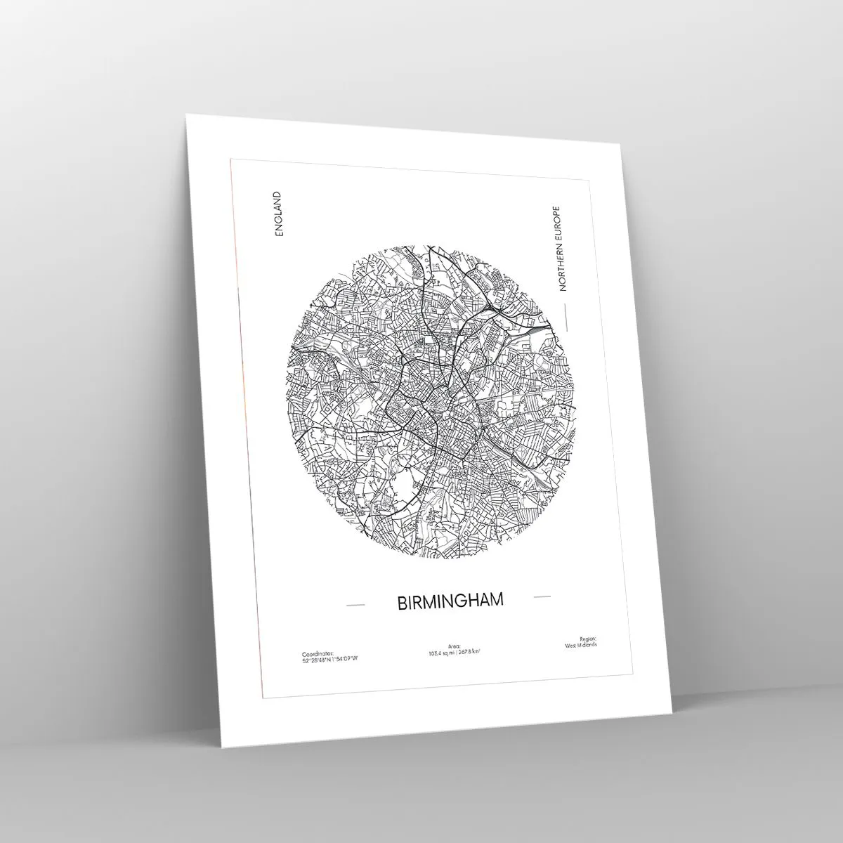 Poster - Anatomie von Birmingham - 40x50 cm