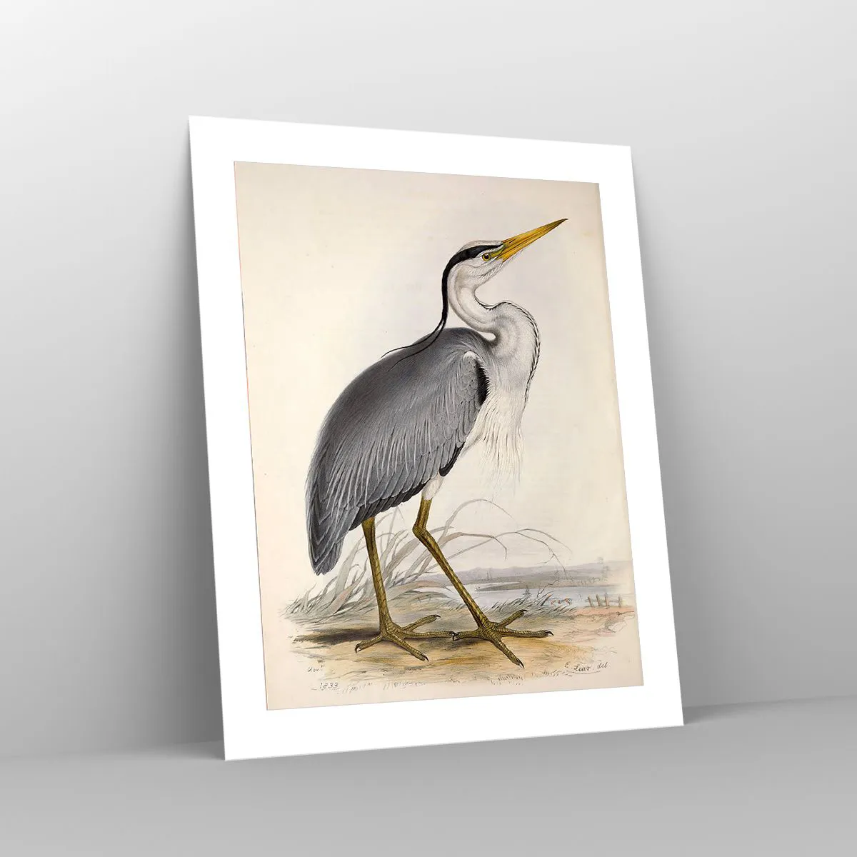 Poster - Farmecul unui stârc - 40x50 cm