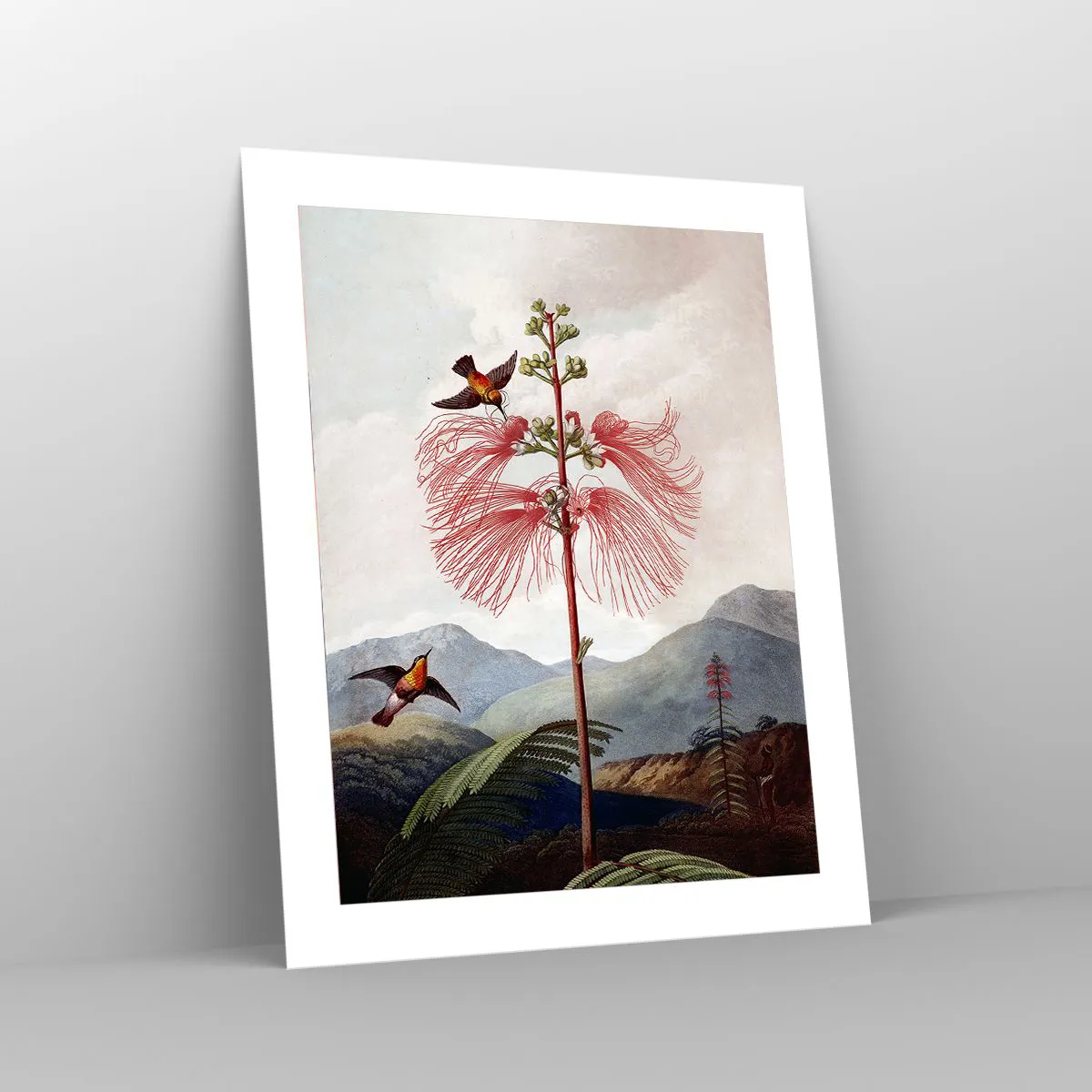 Poster - In a Tropical Paradise - 40x50 cm