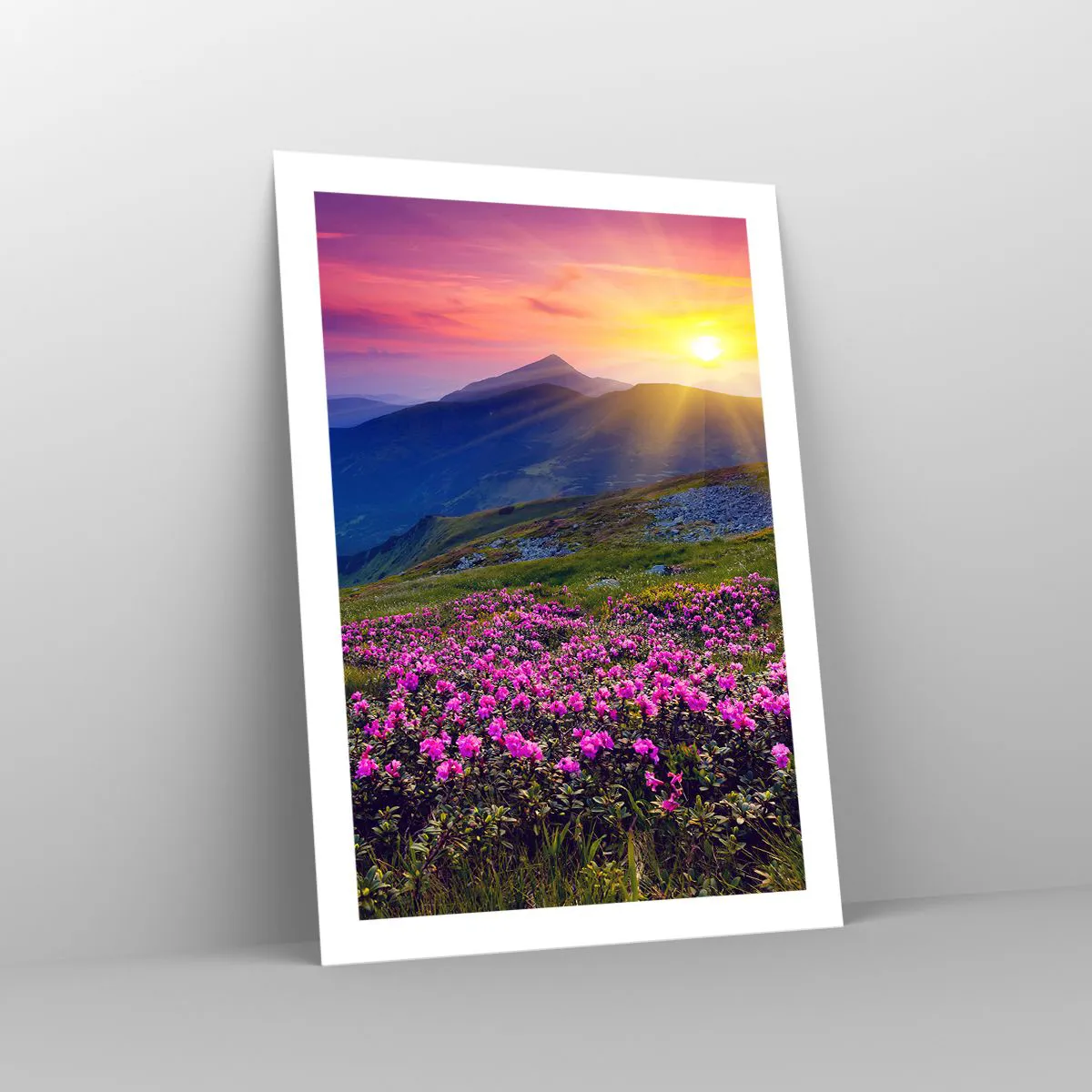 Poster - ... Și peste tot în jur se simte un miros de jneapăn și parfum de ierburi... - 50x70 cm