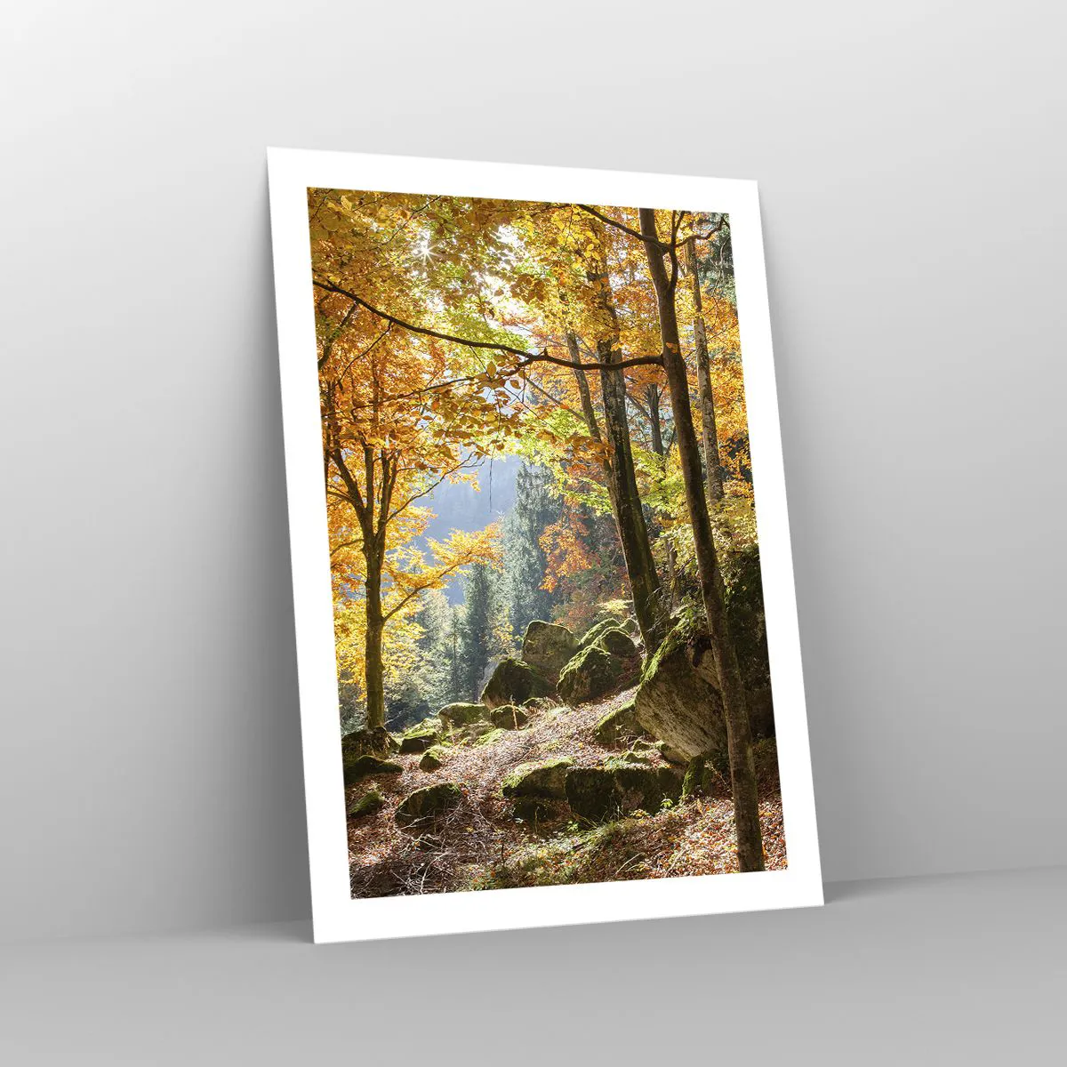 Plakat - Jesienny las z promieniami słońca i kamieniami porośniętymi mchem - 50x70cm - Czas na odpoczynek - Nowoczesna dekoracja ścienna do salonu, kuchni i sypialni ARTTOR