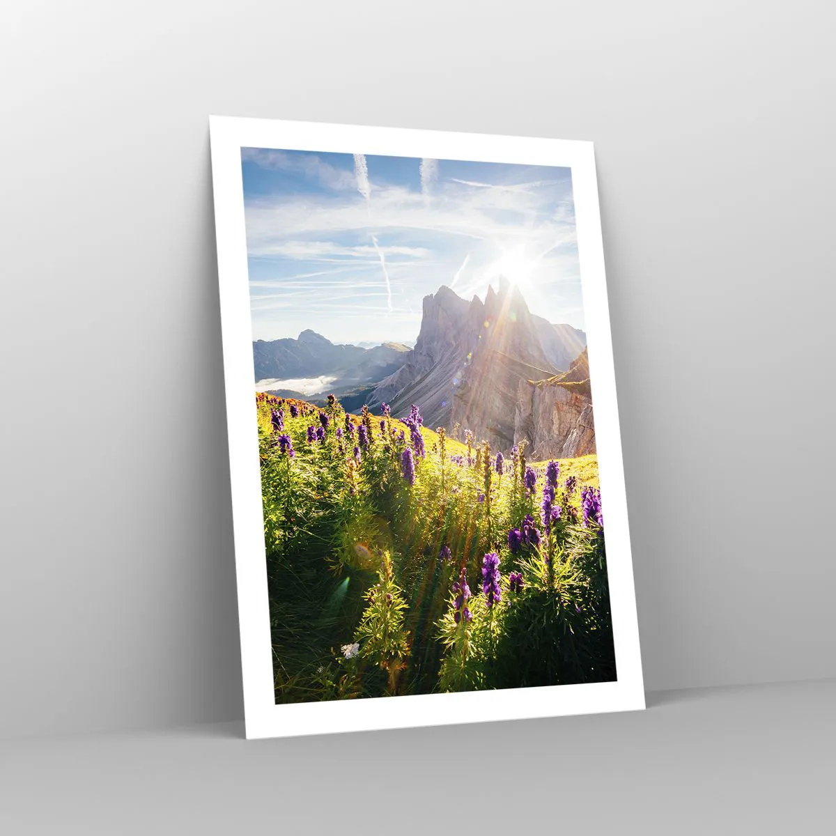 Plagát - Tajomný život bylín - 50x70 cm