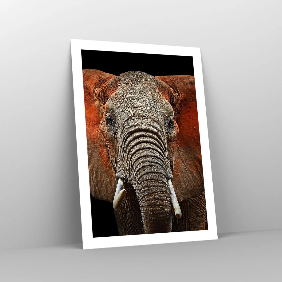 Póster - Retrato de un majestuoso elefante sobre un fondo negro - 50x70cm - Soy salvaje, ¿y tú? - Decoración de pared moderna para salón y dormitorio ARTTOR