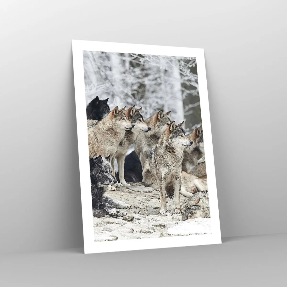 Poster - Familie și prieteni - 50x70 cm