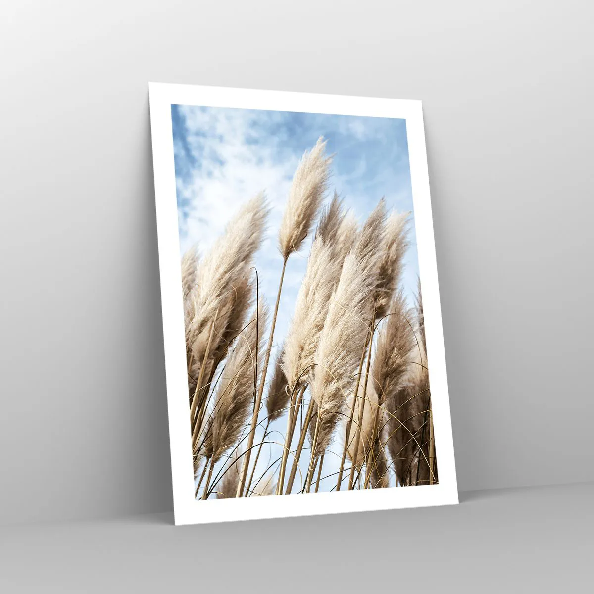 Plakat - Pampasowe trawy na tle nieba - 50x70cm - Słoneczna i wietrzna pieszczota - Nowoczesna dekoracja ścienna do salonu, kuchni i sypialni ARTTOR