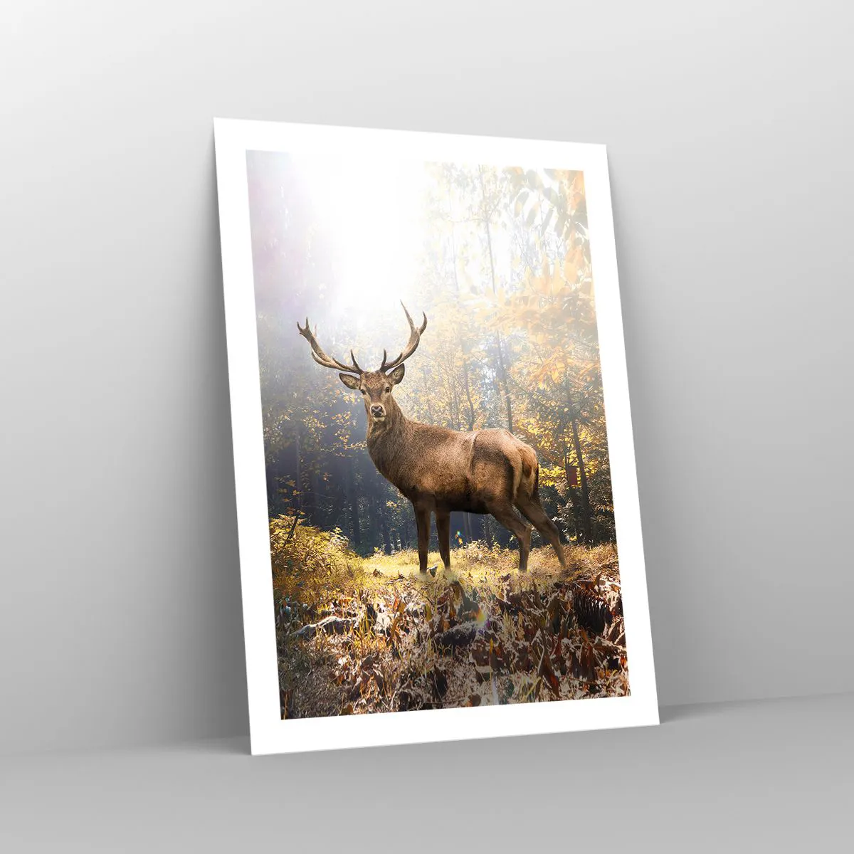 Affiche - Poster - Un cerf dans une forêt éclairée par la lumière du soleil - 50x70cm - Toute sa majesté - Décoration murale moderne pour le salon et la chambre ARTTOR