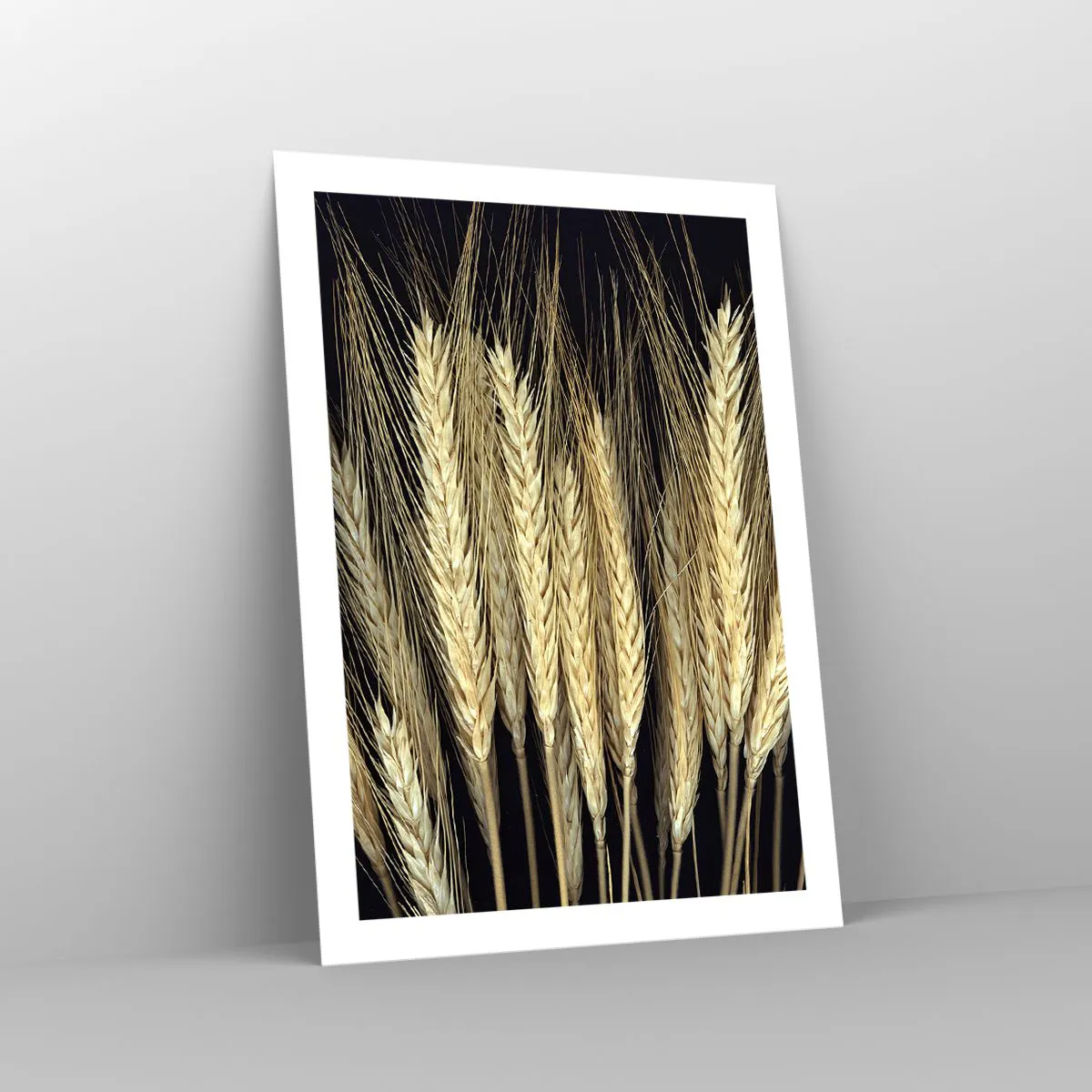 Poster - Nahaufnahme von Weizenähren vor schwarzem Hintergrund - 50x70cm - Rustikale Magie - Moderne Wanddekoration für Wohnzimmer und Schlafzimmer ARTTOR