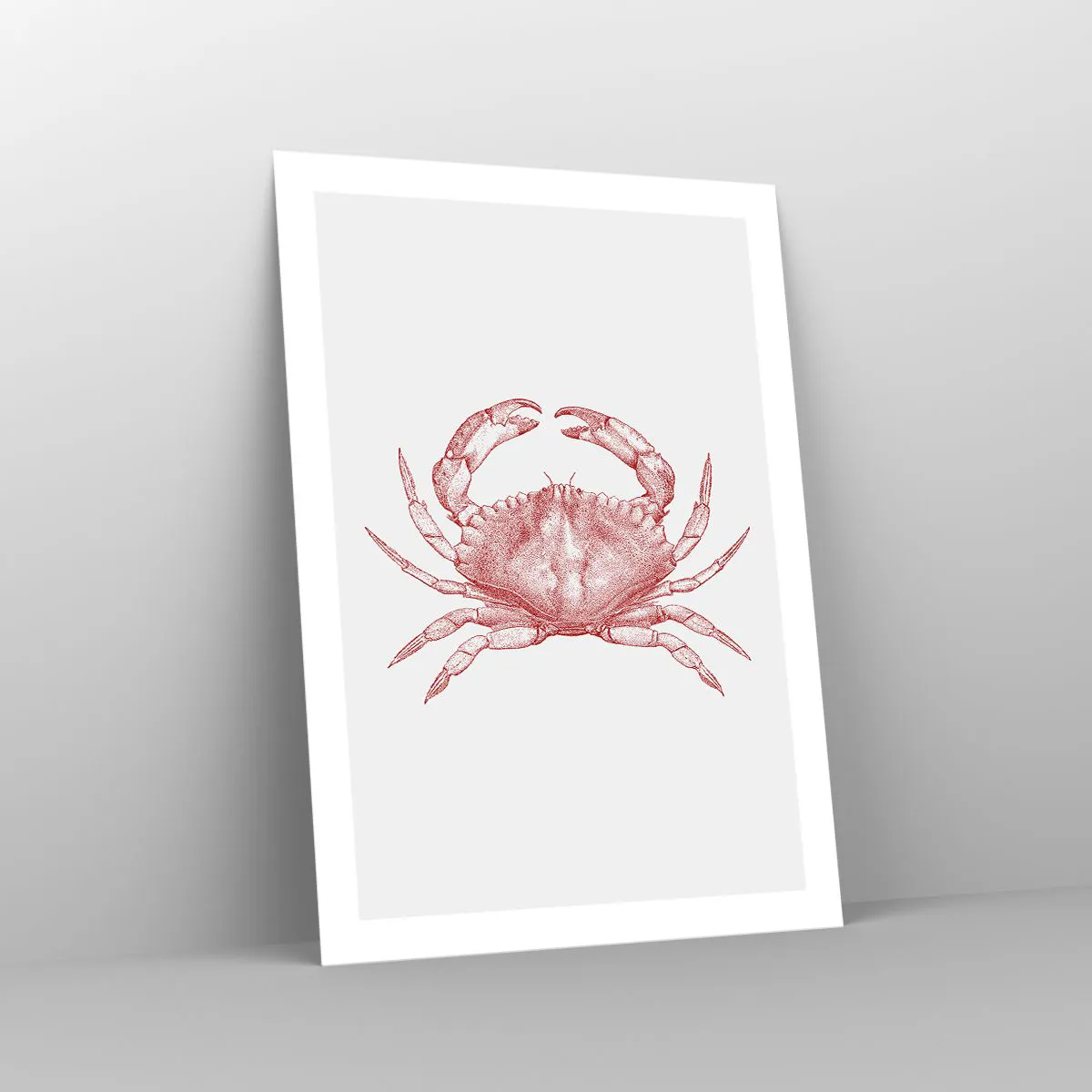 Poster - Crab Like No Other - 50x70 cm