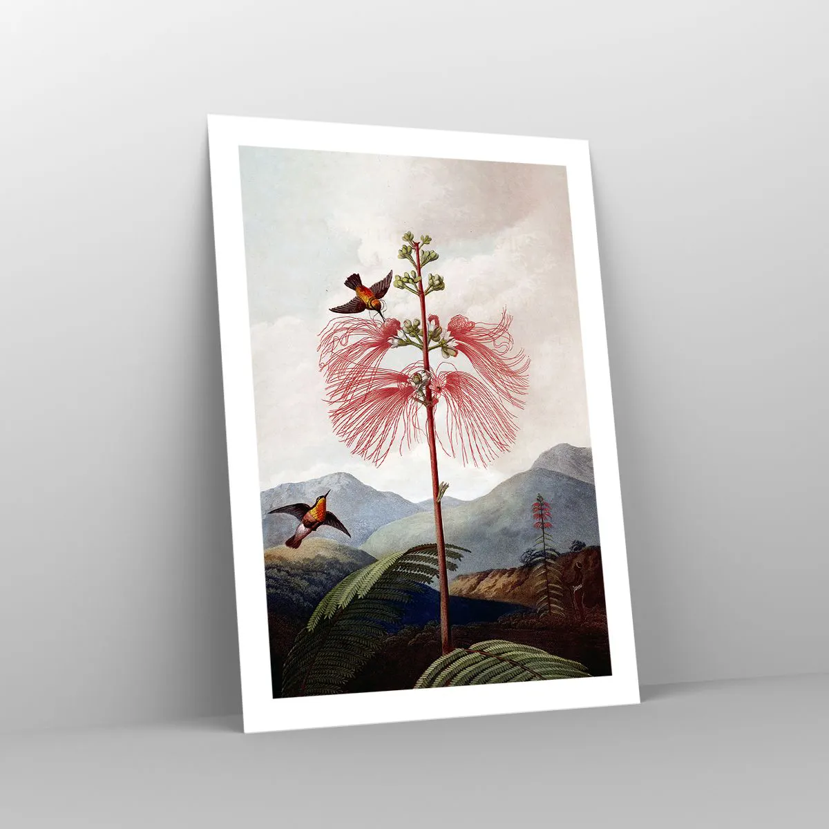 Pôster - Em um paraíso tropical - 50x70 cm