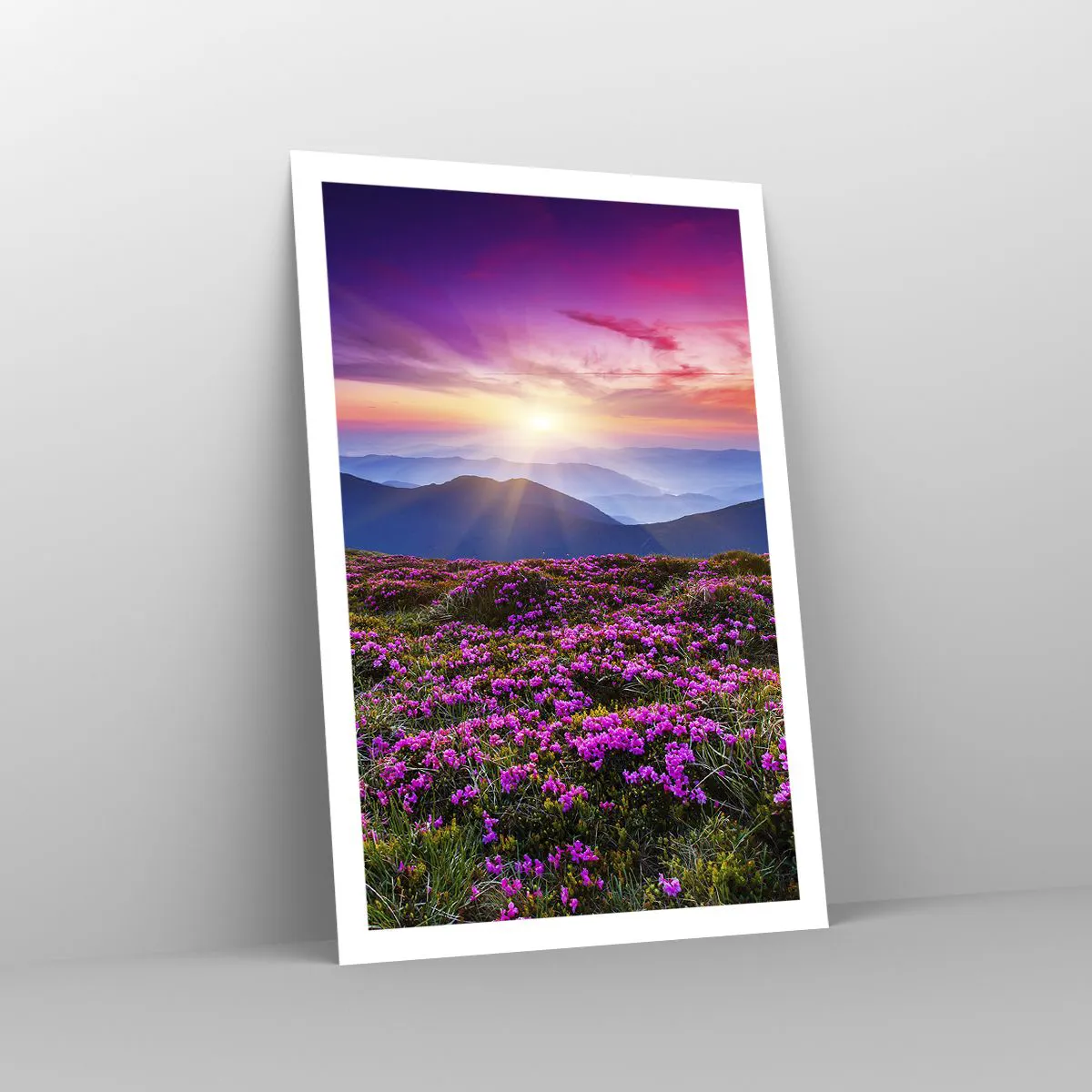 Plakat - Urter duftede friske bundter fra niw - 61x91 cm