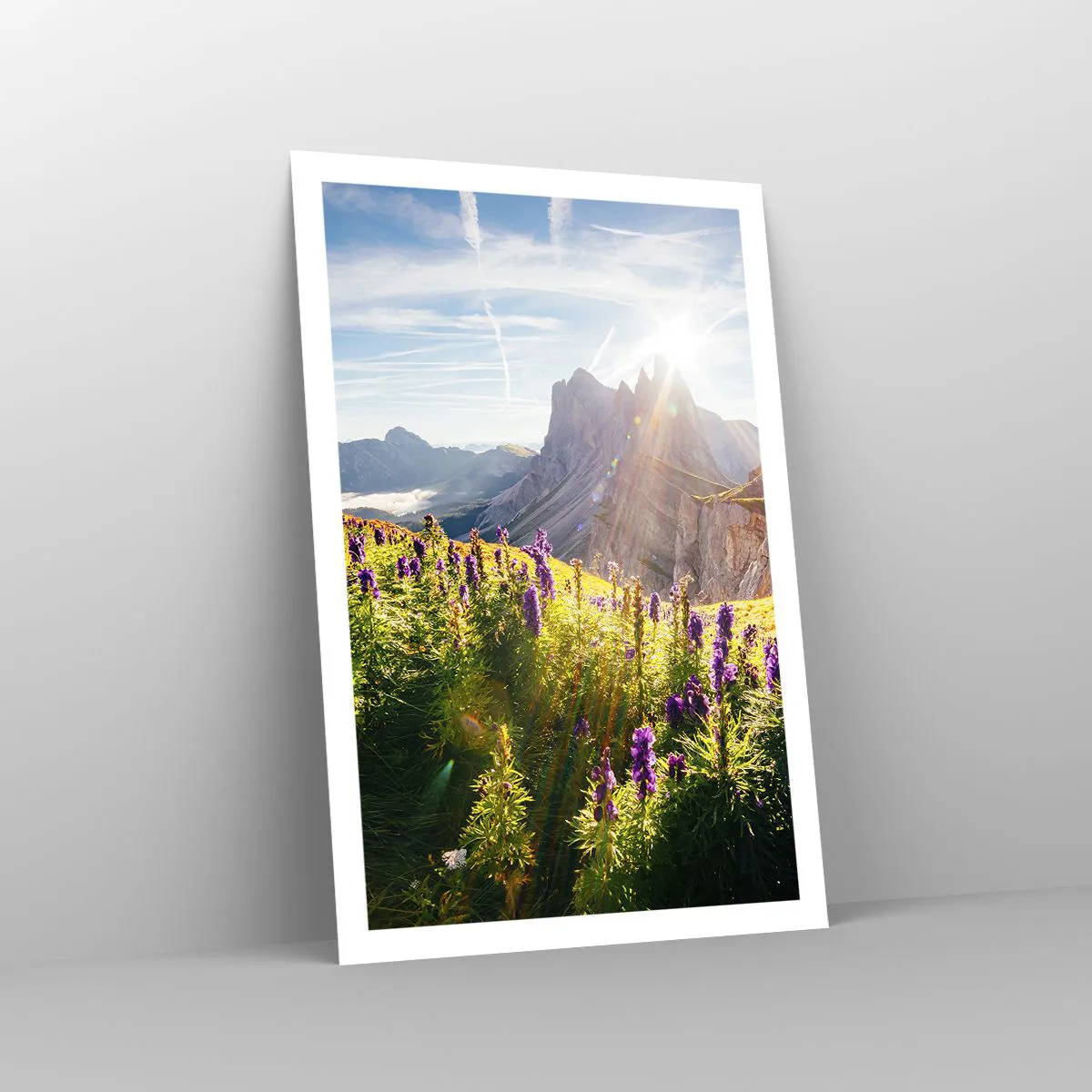 Affiche - Poster - La vie secrète des herbes - 61x91 cm