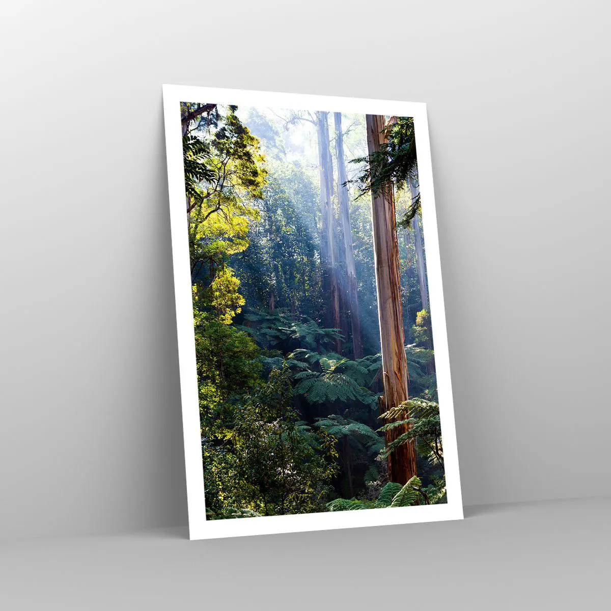 Poszter - Erdei mese - 61x91 cm