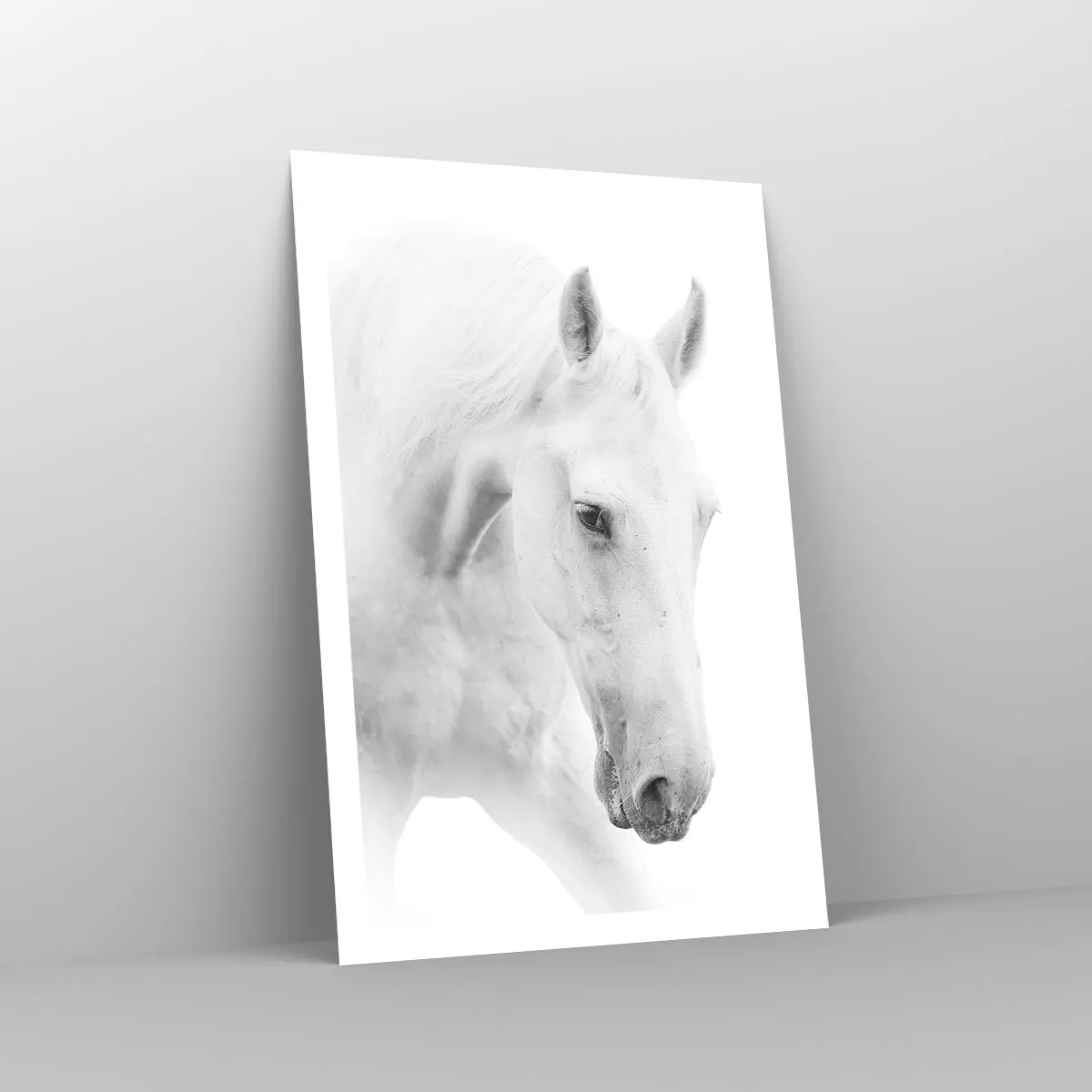 Poster - Ist das Freundschaft...? - 61x91 cm