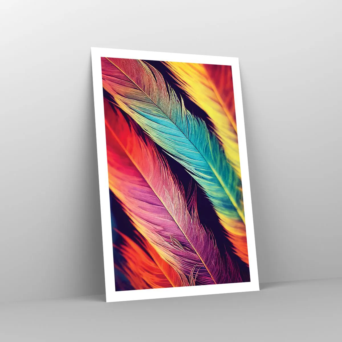 Affiche - Poster - Arc-en-ciel de plumes - 61x91 cm