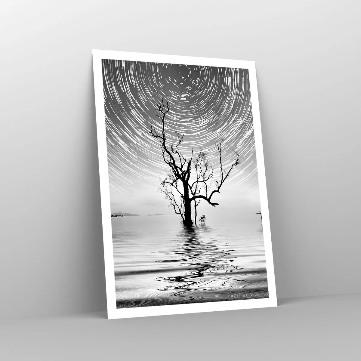 Poster - Symphony of Nature - 70x100 cm