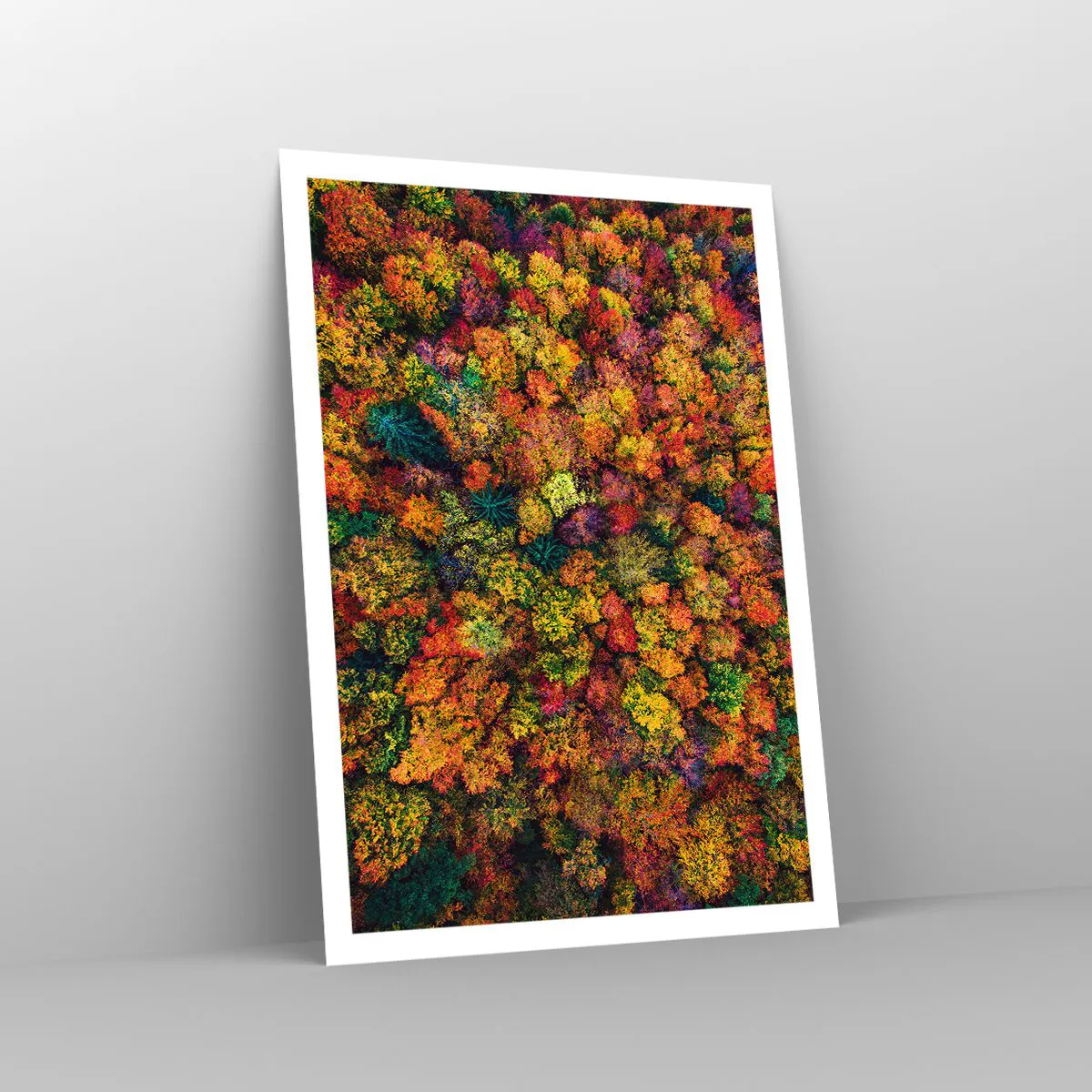 Póster - Un ramo de árboles otoñales - 70x100 cm