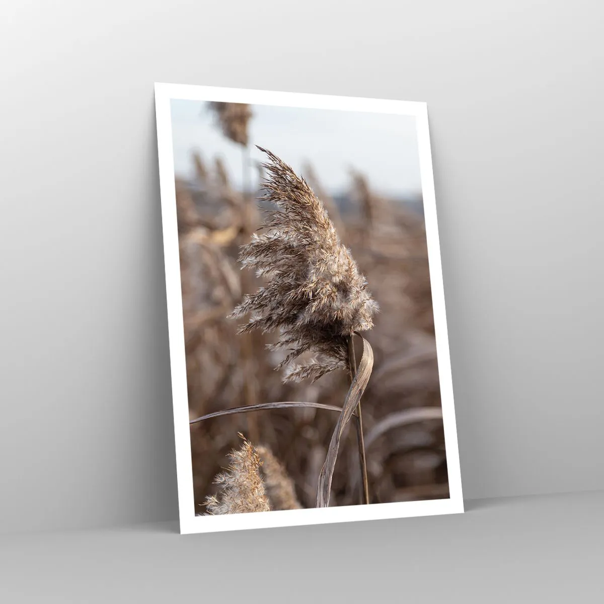 Poster - Zeit, mit dem Wind zu gehen - 70x100 cm