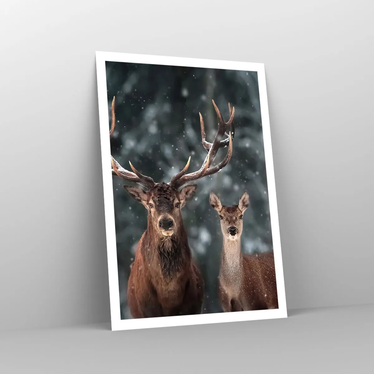 Poszter - Az erdő ura a feleségével - 70x100 cm