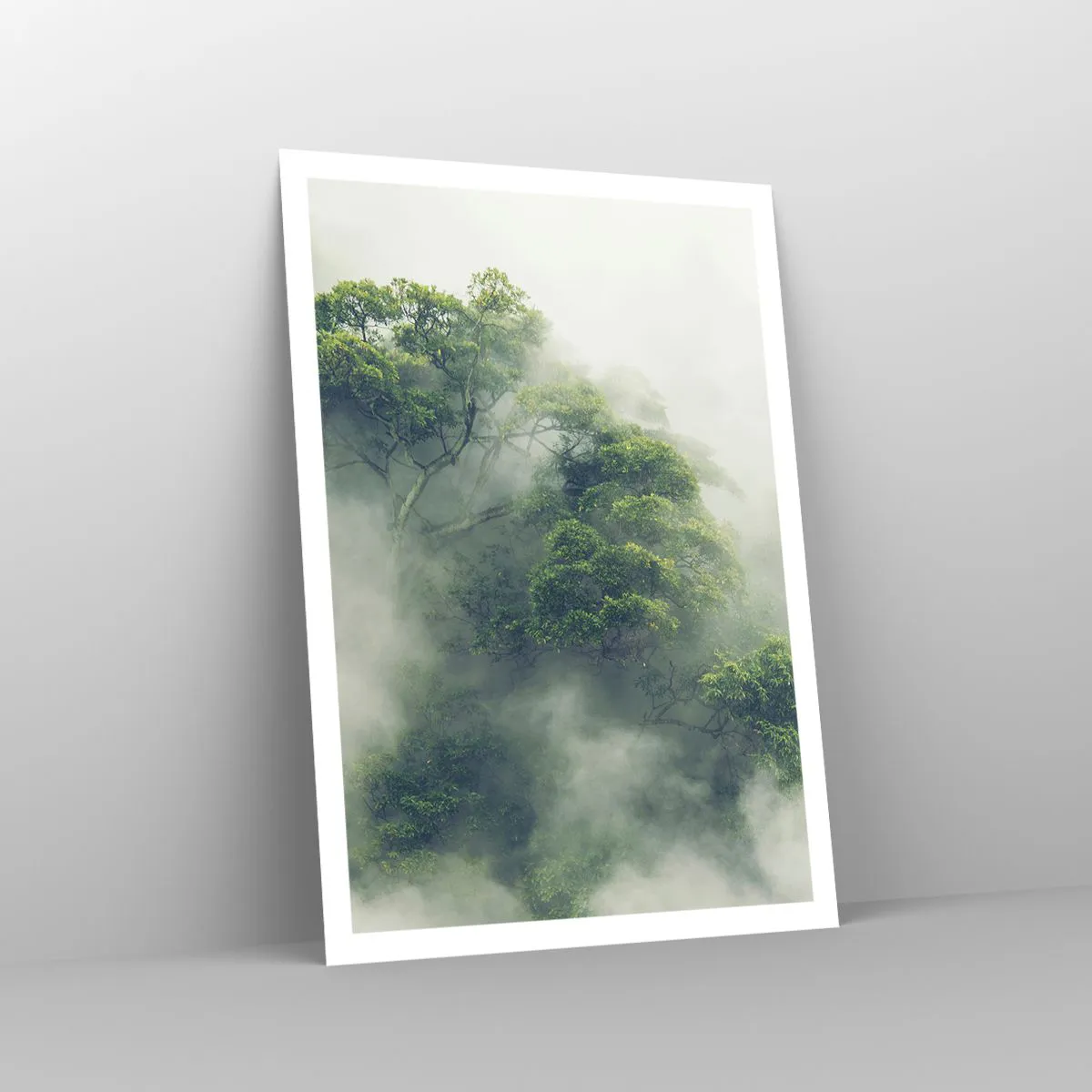 Poster - Înfășurate în ceață - 70x100 cm