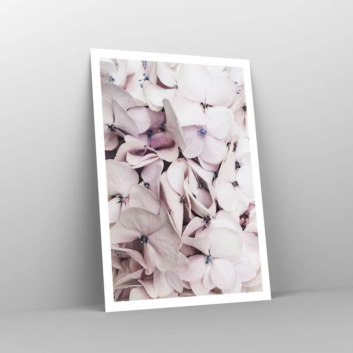 Poster - Într-un potop de flori - 70x100 cm