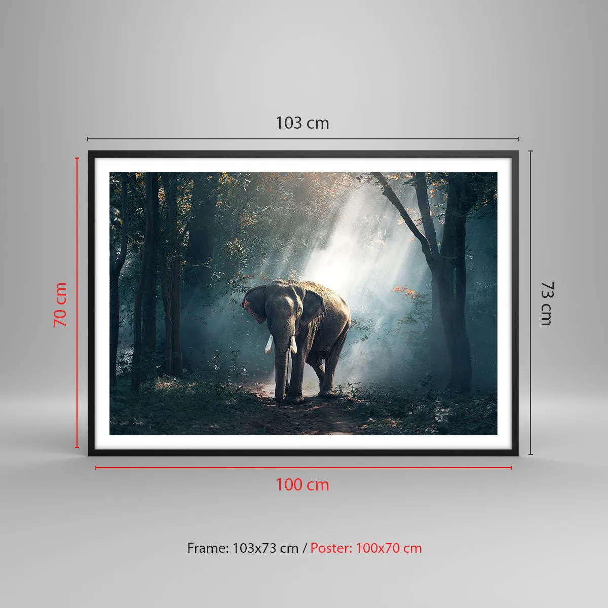 Plakát v černém rámu - Klidná procházka - 100x70 cm