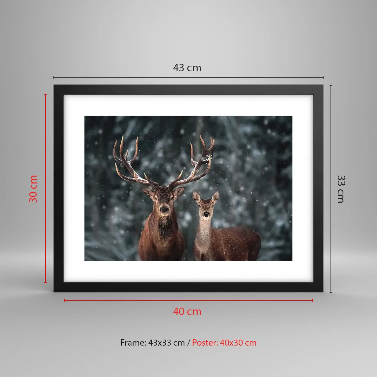 Poster in black frame - Master of the Forest with His Wife - 40x30 cm