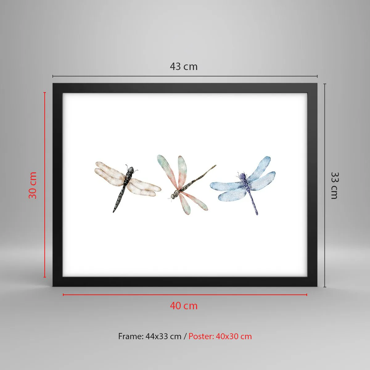 Affiche dans un cadre noir - Poster - Libellules en apesanteur - 40x30 cm