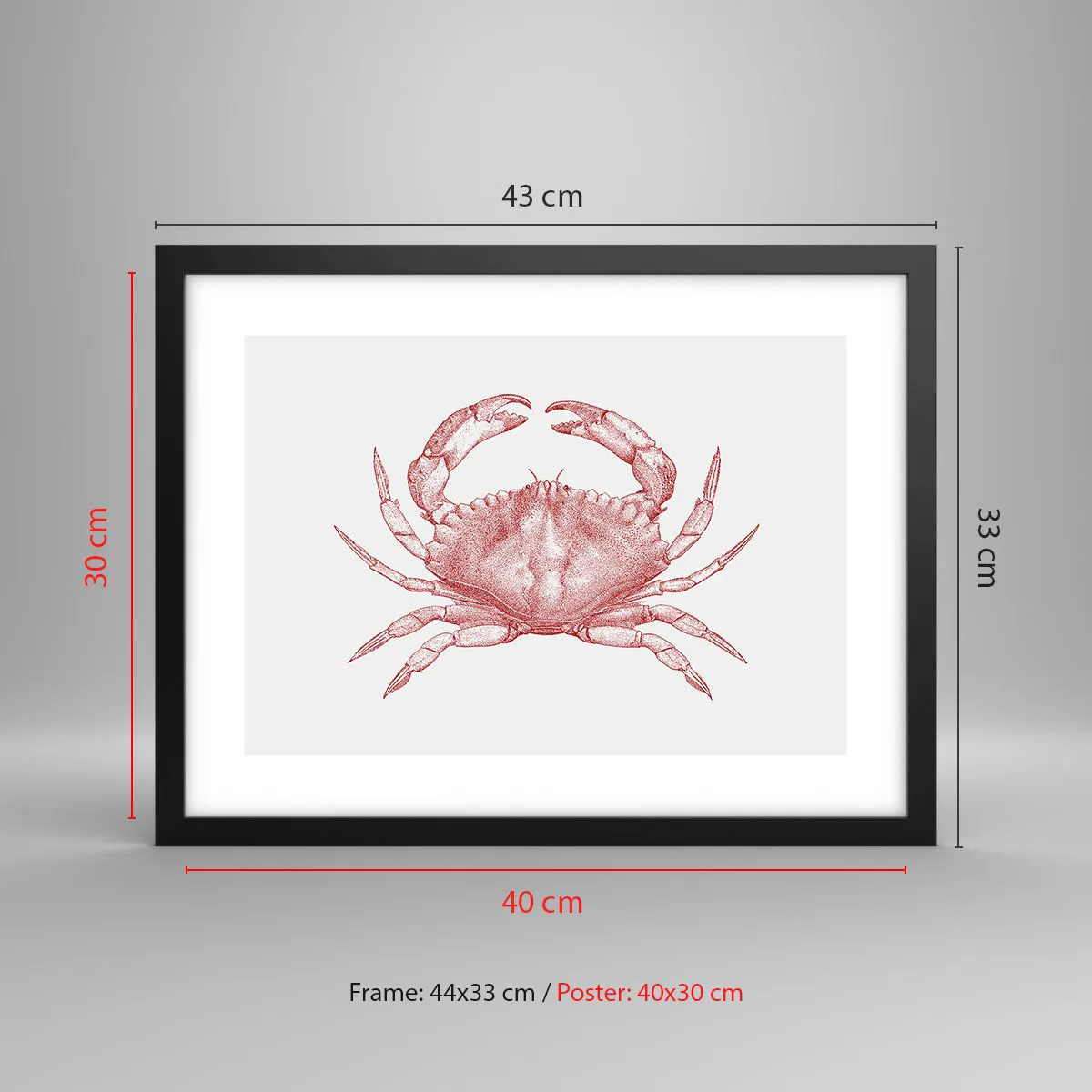 Affiche dans un cadre noir - Poster - Le crabe des crabes - 40x30 cm