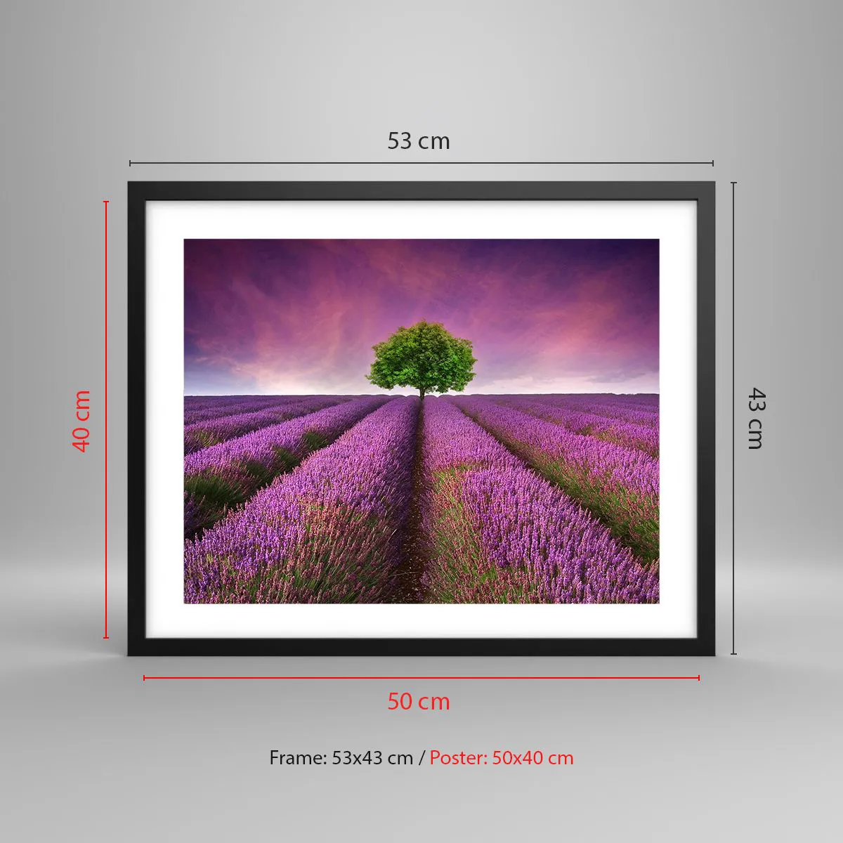 Plakat i sort ramme - I lavendelmarker - 50x40 cm