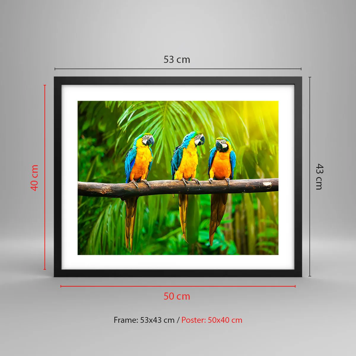 Poster in een zwarte lijst - En heb je gehoord dat ze...? - 50x40 cm