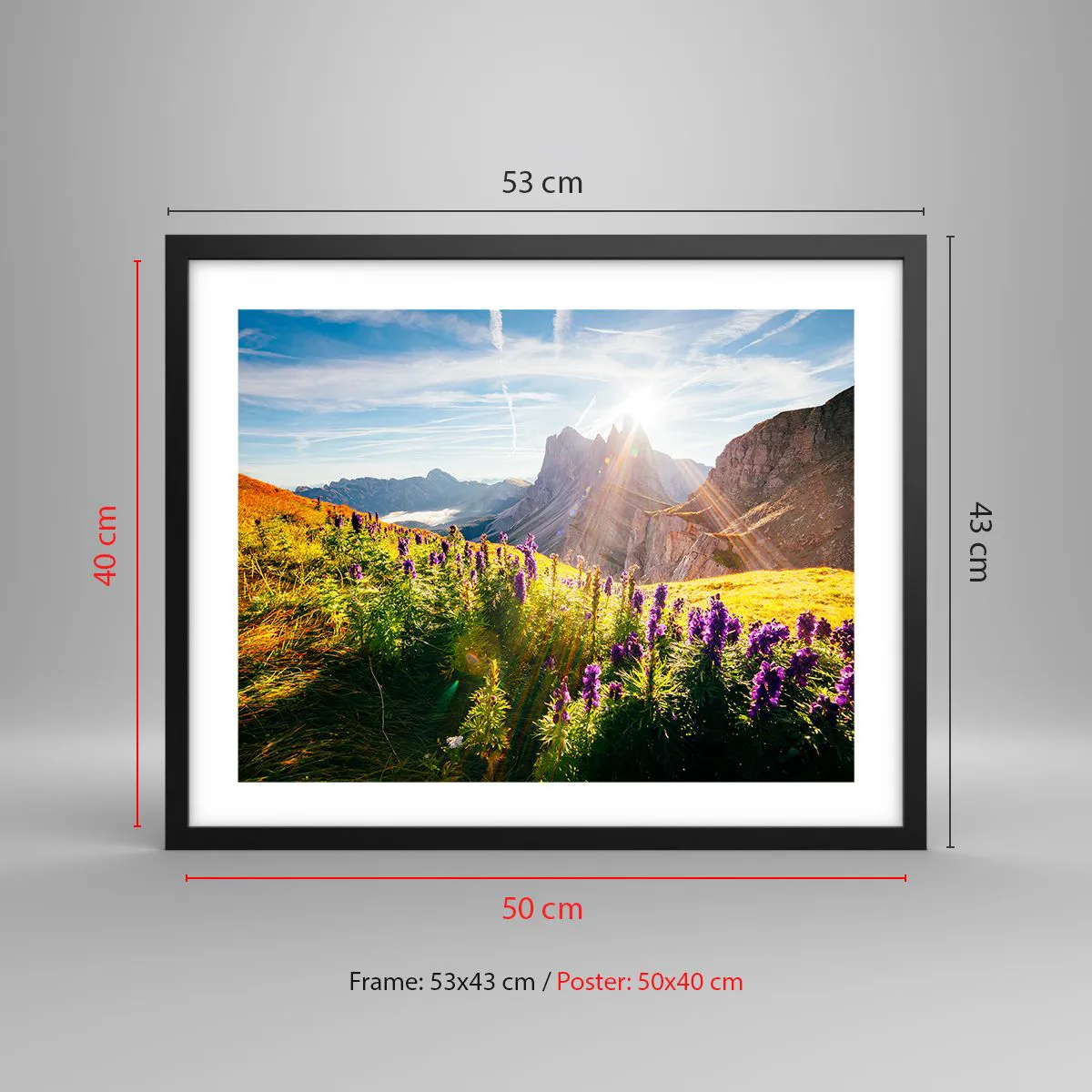 Plakat w czarnej ramie - Sekretne życie ziół - 50x40 cm