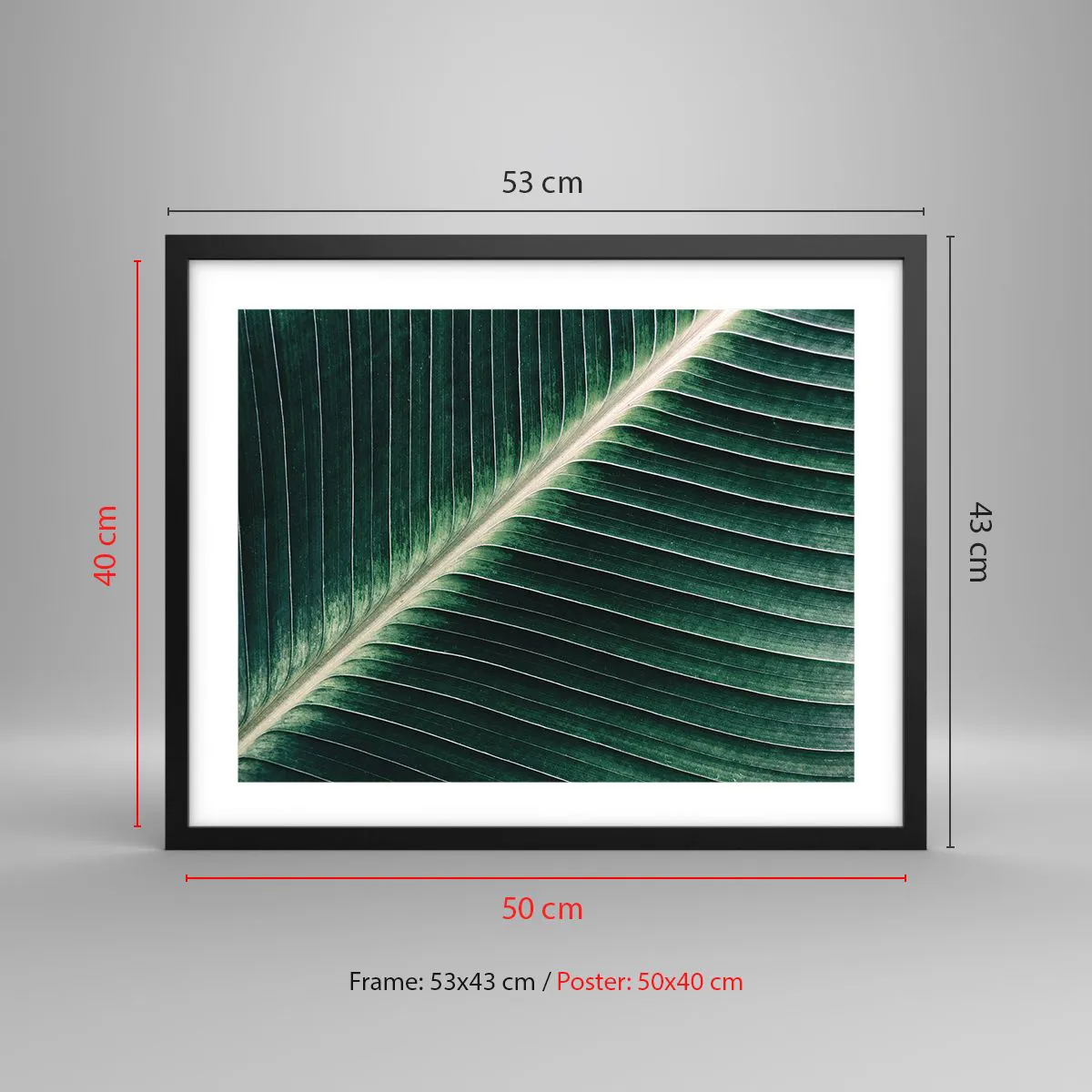 Plakat i sort ramme - Naturens rytme - 50x40 cm