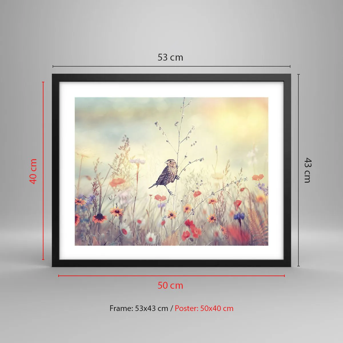 Poster in black frame - Bird Portrait with a Meadow in the Background - 50x40 cm