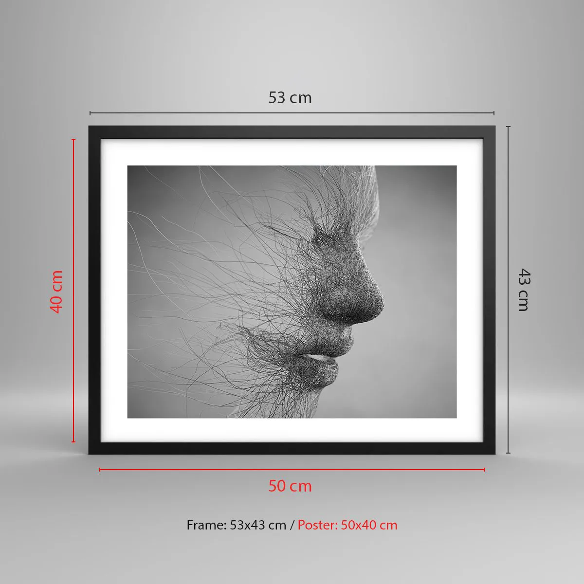 Affiche dans un cadre noir - Poster - L'esprit du vent - 50x40 cm