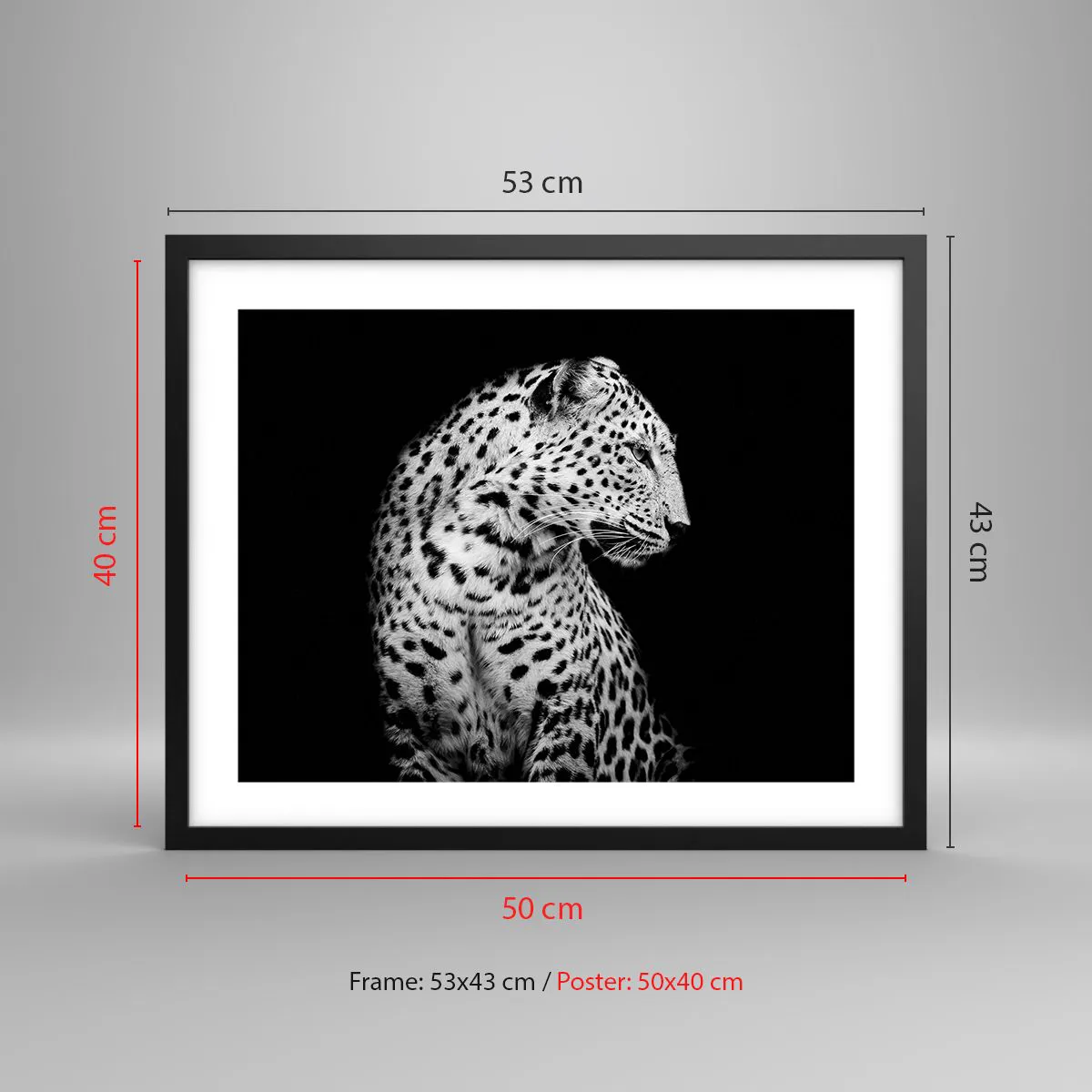 Poster in einem schwarzem Rahmen - Rechtes Profil perfekt! - 50x40 cm