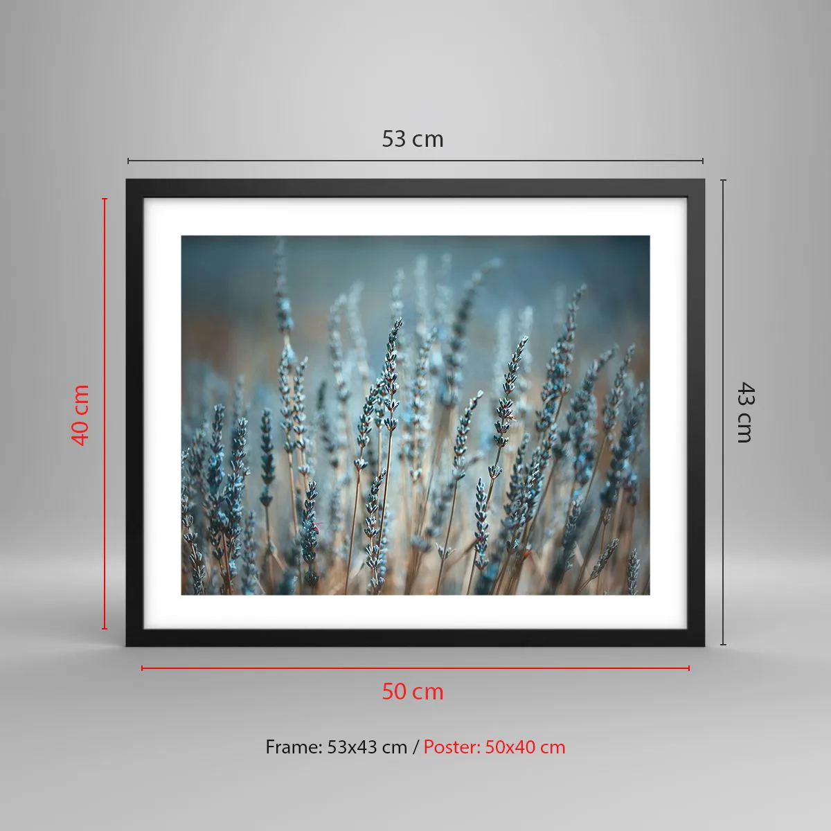 Poster in einem schwarzem Rahmen - Duftendes Kornfeld - 50x40 cm