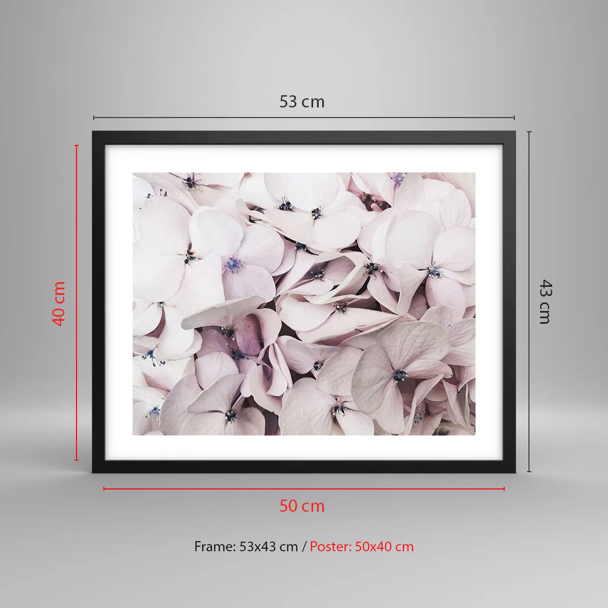 Poster in einem schwarzem Rahmen - In einer Blumenflut - 50x40 cm