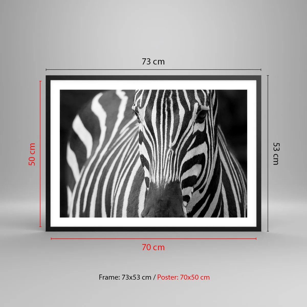 Plakat w czarnej ramie - Czarno-białe zbliżenie zebry z charakterystycznymi pasami - 70x50cm - Świat jest czarno-biały - Nowoczesna dekoracja ścienna do salonu i sypialni ARTTOR