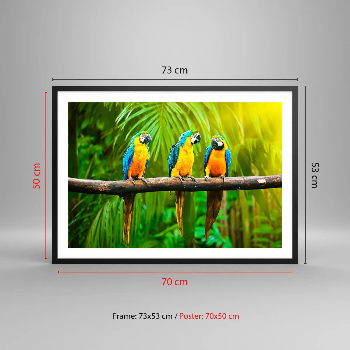 Poster in einem schwarzem Rahmen - Drei bunte Papageien vor einem Hintergrund aus tropischem Grün - 70x50cm - Und hast du gehört, dass sie ...? - Moderne Wanddekoration für Wohnzimmer und Schlafzimmer ARTTOR