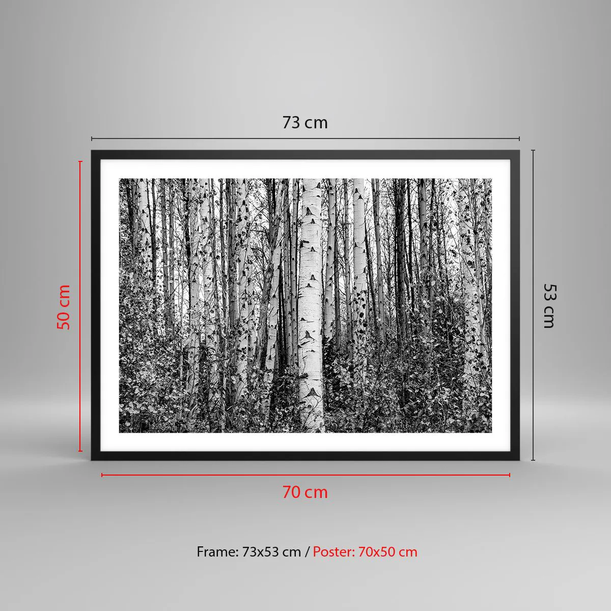 Poster in einem schwarzem Rahmen - Schwarz-weiße Birken im Wald - 70x50cm - Birkenkolonnade - Moderne Wanddekoration für Wohnzimmer und Schlafzimmer ARTTOR