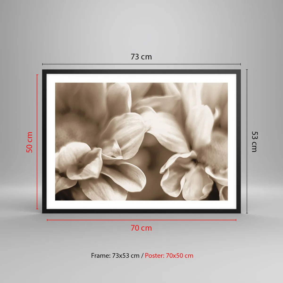 Poster in einem schwarzem Rahmen - Nahaufnahme von Blüten in zartem Sepia-Ton mit weichen Konturen - 70x50cm - So sanft wie ein Lächeln - Moderne Wanddekoration für Wohnzimmer und Schlafzimmer ARTTOR