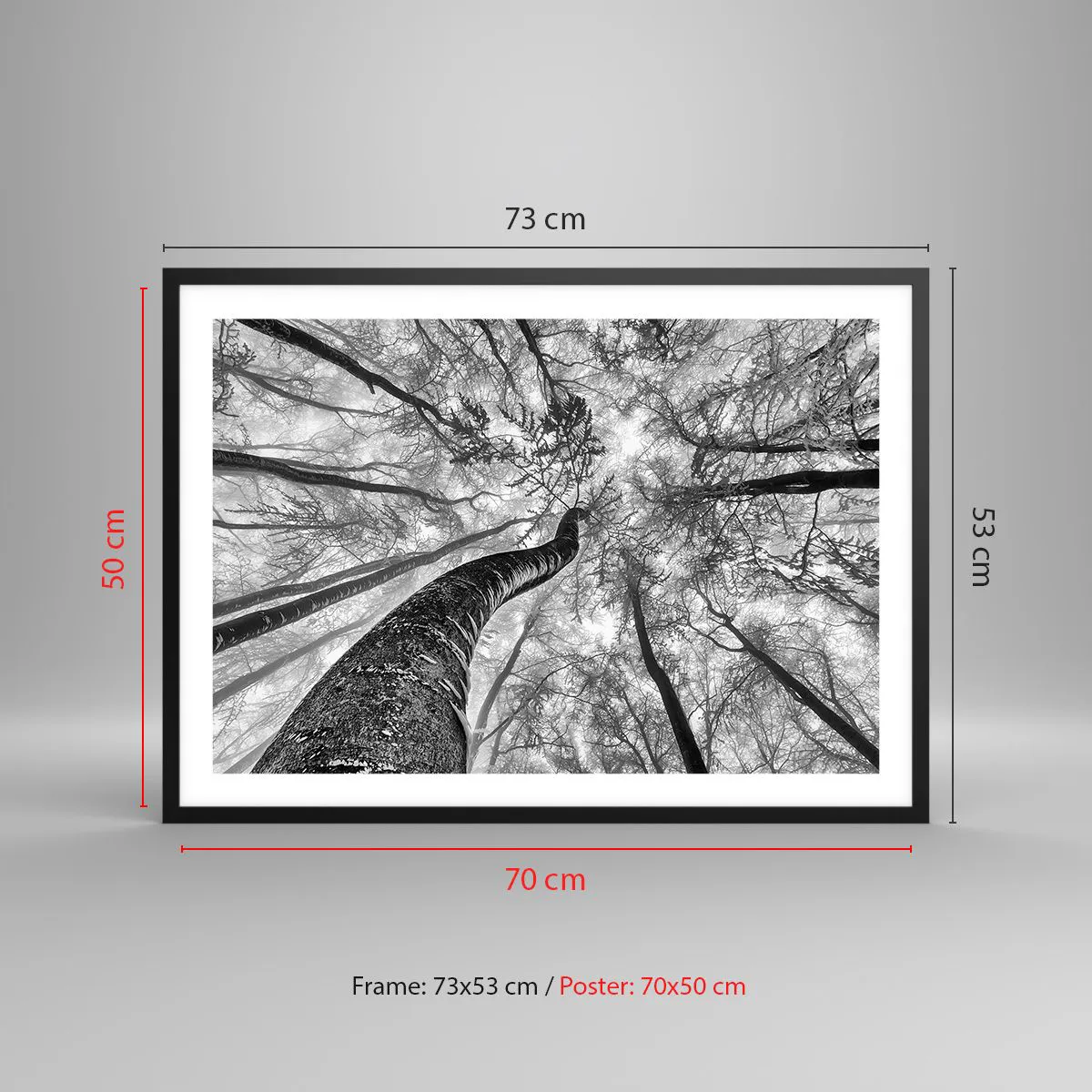 Poszter fehér keretben - Verseny a fény felé - 70x50 cm