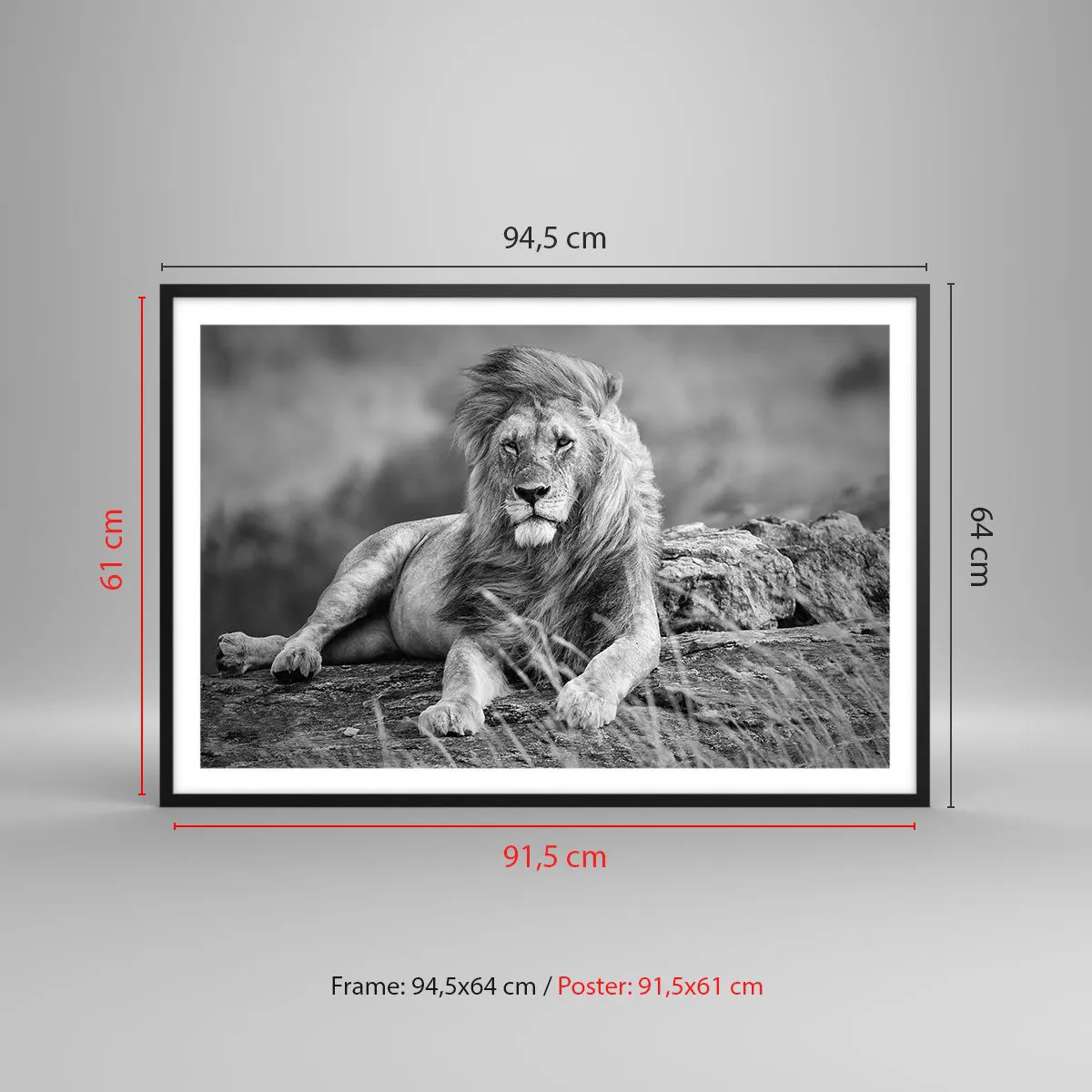 Affiche dans un cadre noir - Poster - Sieste royale - 91x61 cm