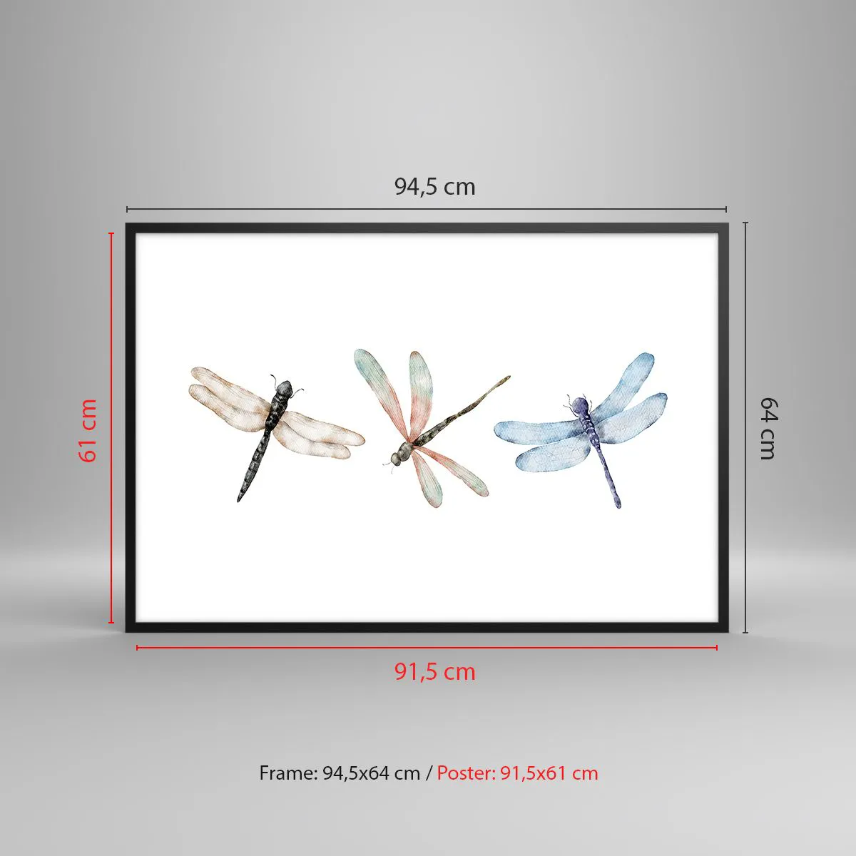 Plagát v čiernom ráme - Beztiažové vážky - 91x61 cm