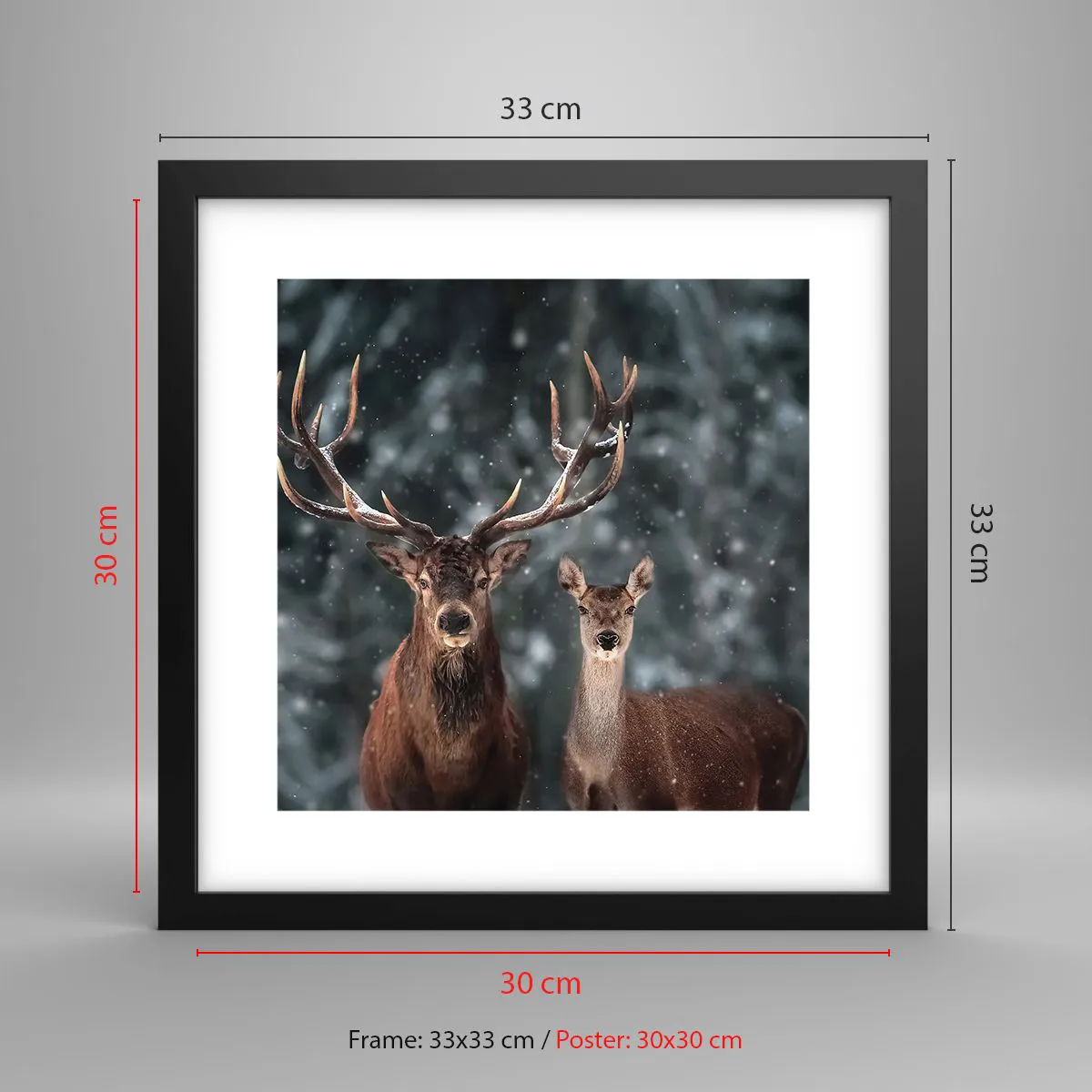 Pôster com moldura preta - O senhor da floresta com sua esposa - 30x30 cm