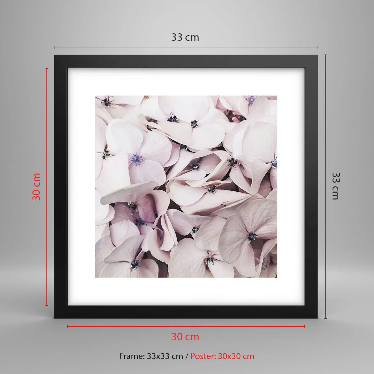 Poster in einem schwarzem Rahmen - In einer Blumenflut - 30x30 cm