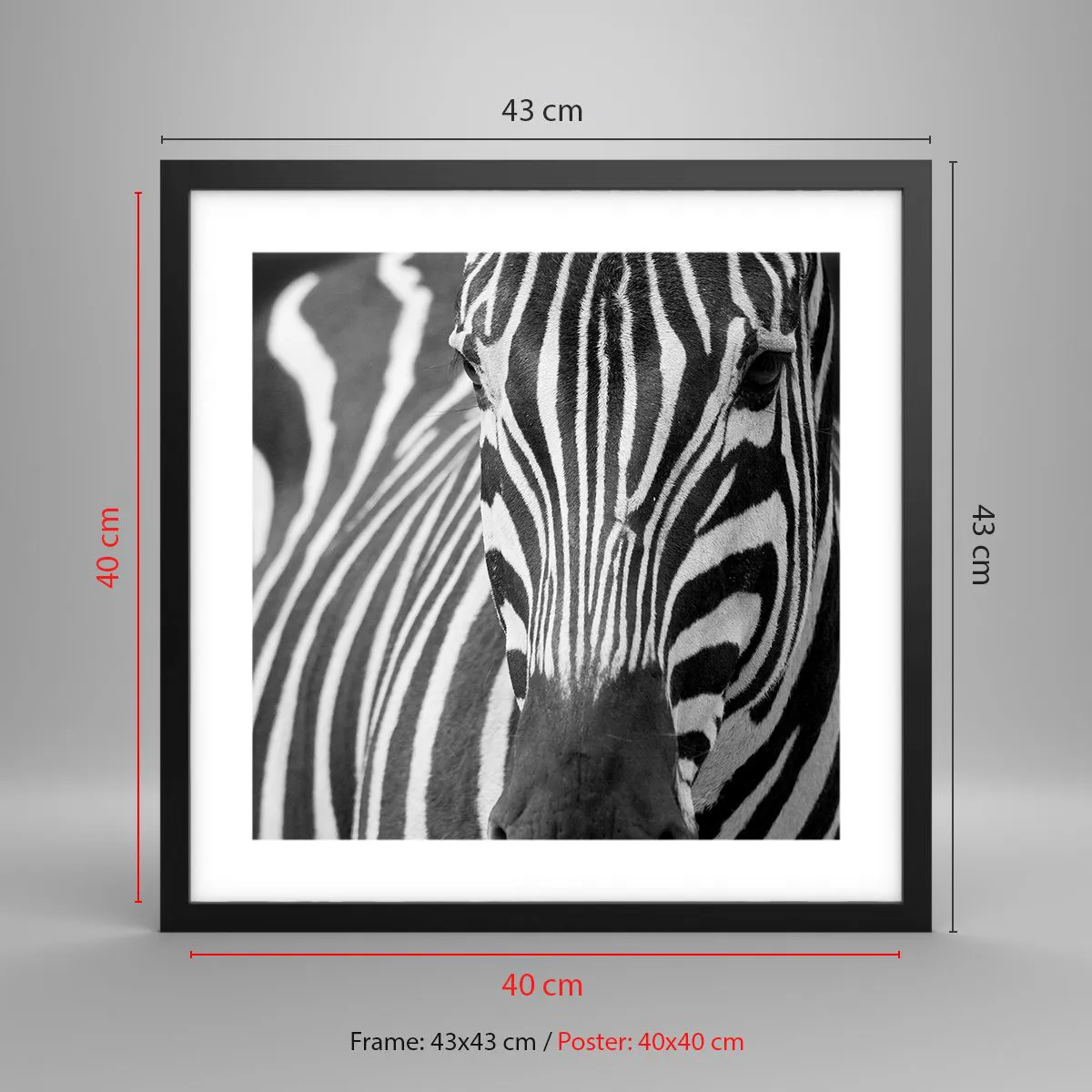 Affiche dans un cadre noir - Poster - Le monde est noir et blanc - 40x40 cm