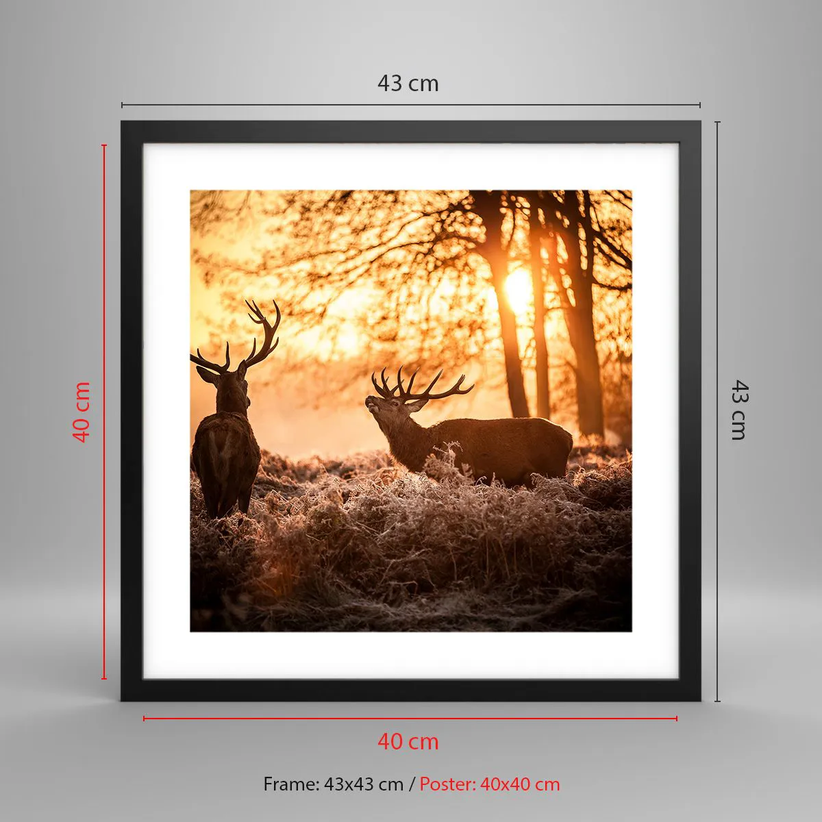 Poster in einem schwarzem Rahmen - Der Traum eines Jägers - 40x40 cm