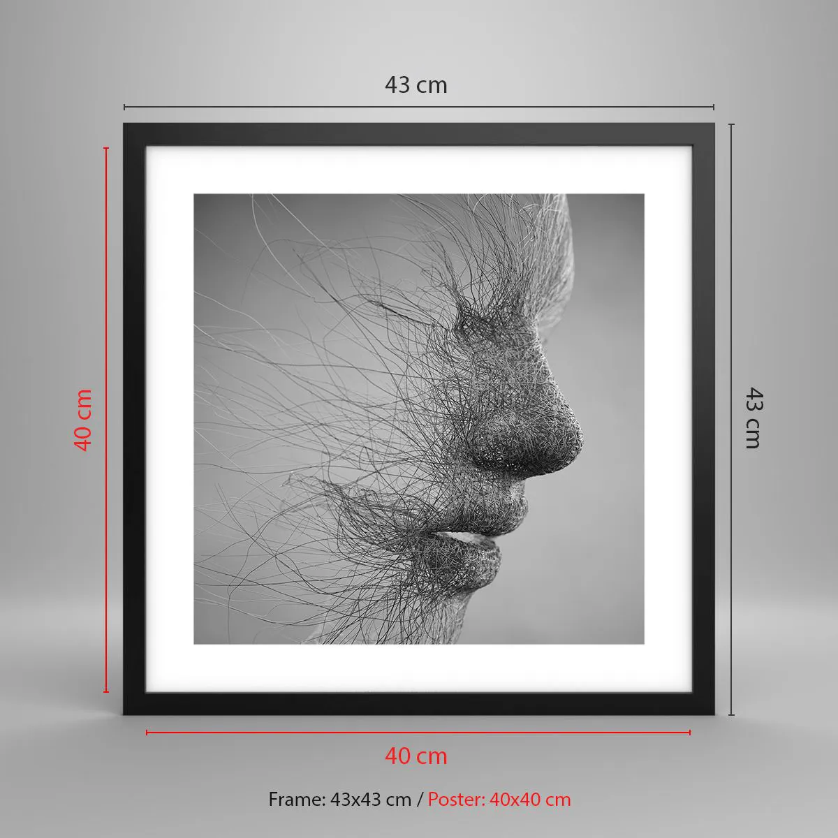 Affiche dans un cadre noir - Poster - L'esprit du vent - 40x40 cm